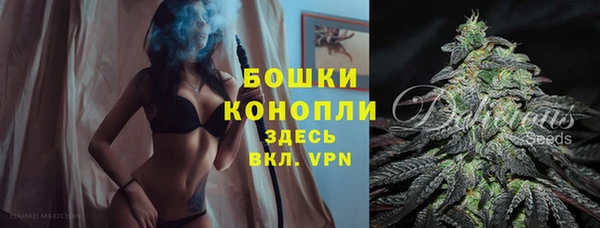 молекула духа Ладушкин
