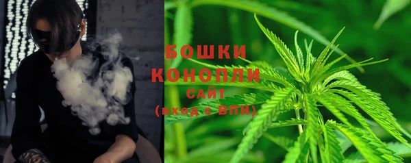 индика Лагань