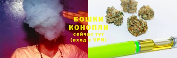 индика Лагань