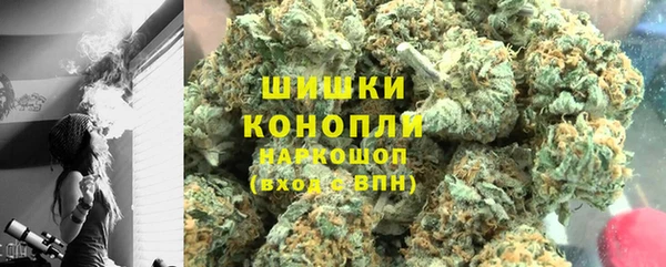 индика Лагань