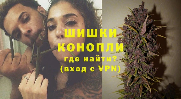 индика Лагань