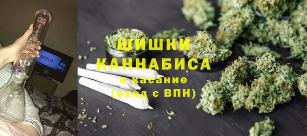 молекула духа Ладушкин