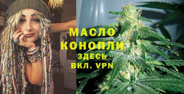 молекула духа Ладушкин