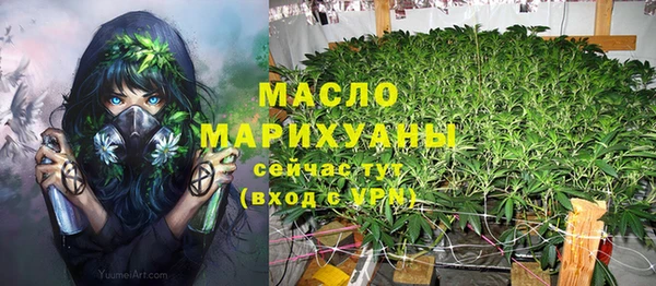 молекула духа Ладушкин