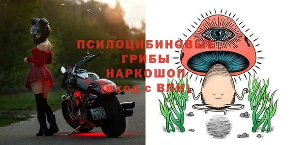 индика Лагань