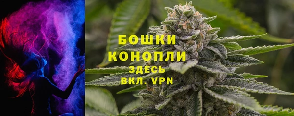 молекула духа Ладушкин