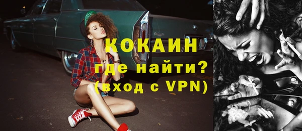 молекула духа Ладушкин